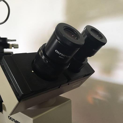 Used Olympus IMT-2 Binocular Microscope