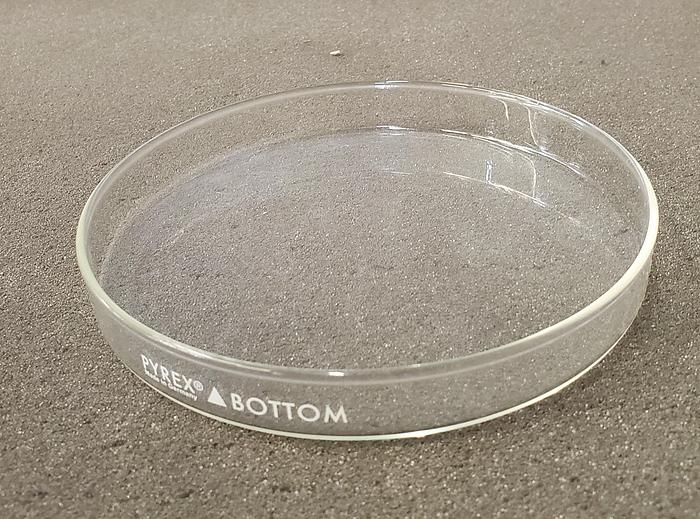 Used PYREX PETRI DISH BOTTOM ONLY