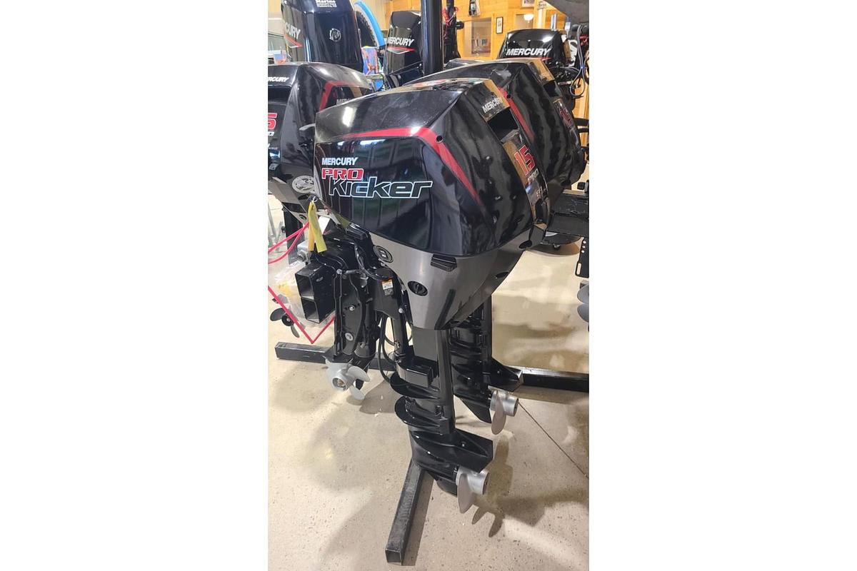 2022 Mercury Marine Engines Mercury 15 EXLPT 4 S