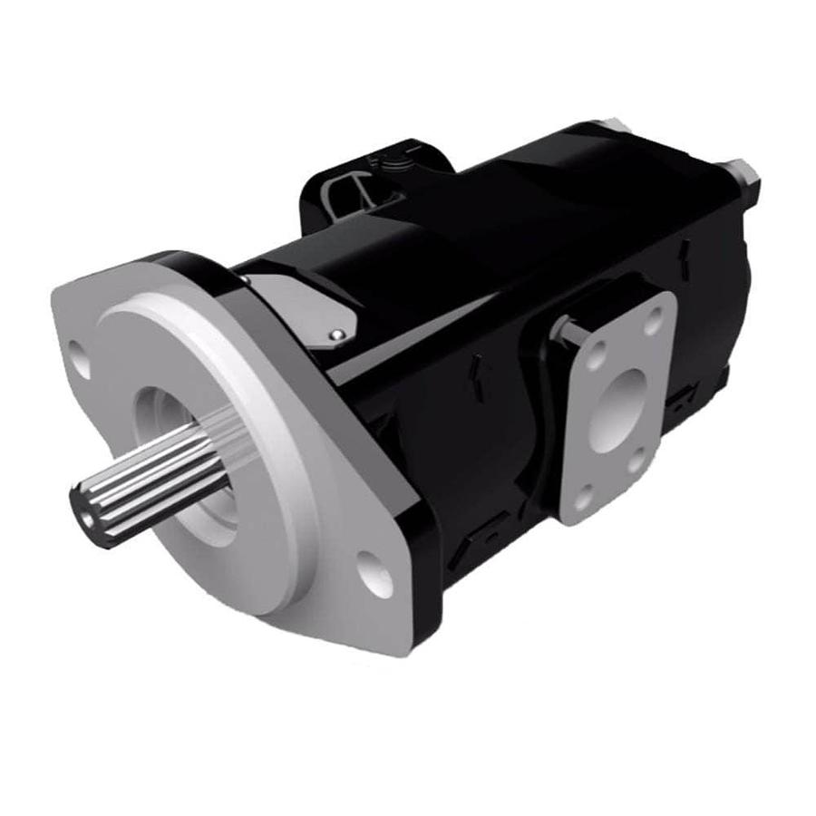 Cast Iron Pumps – PGP315 Series