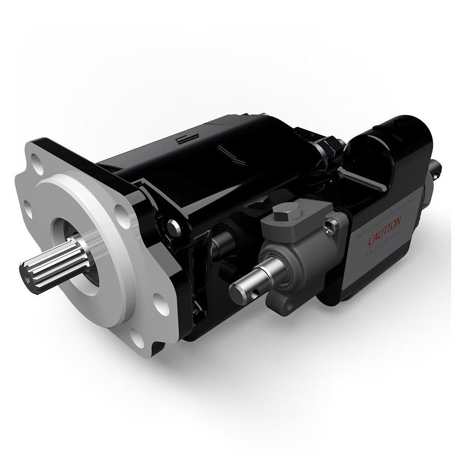 Cast Iron Pumps – G101/G102 Series