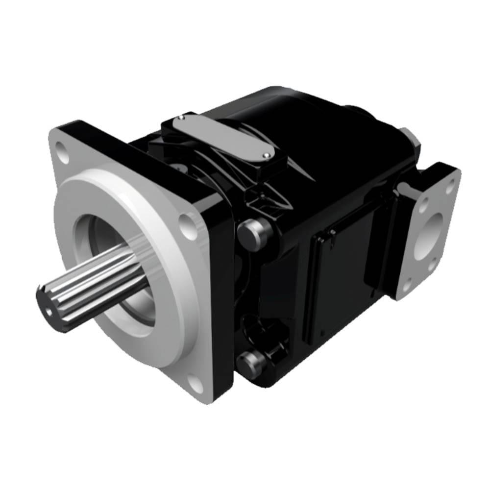 Cast Iron Pumps – PGP365 Series