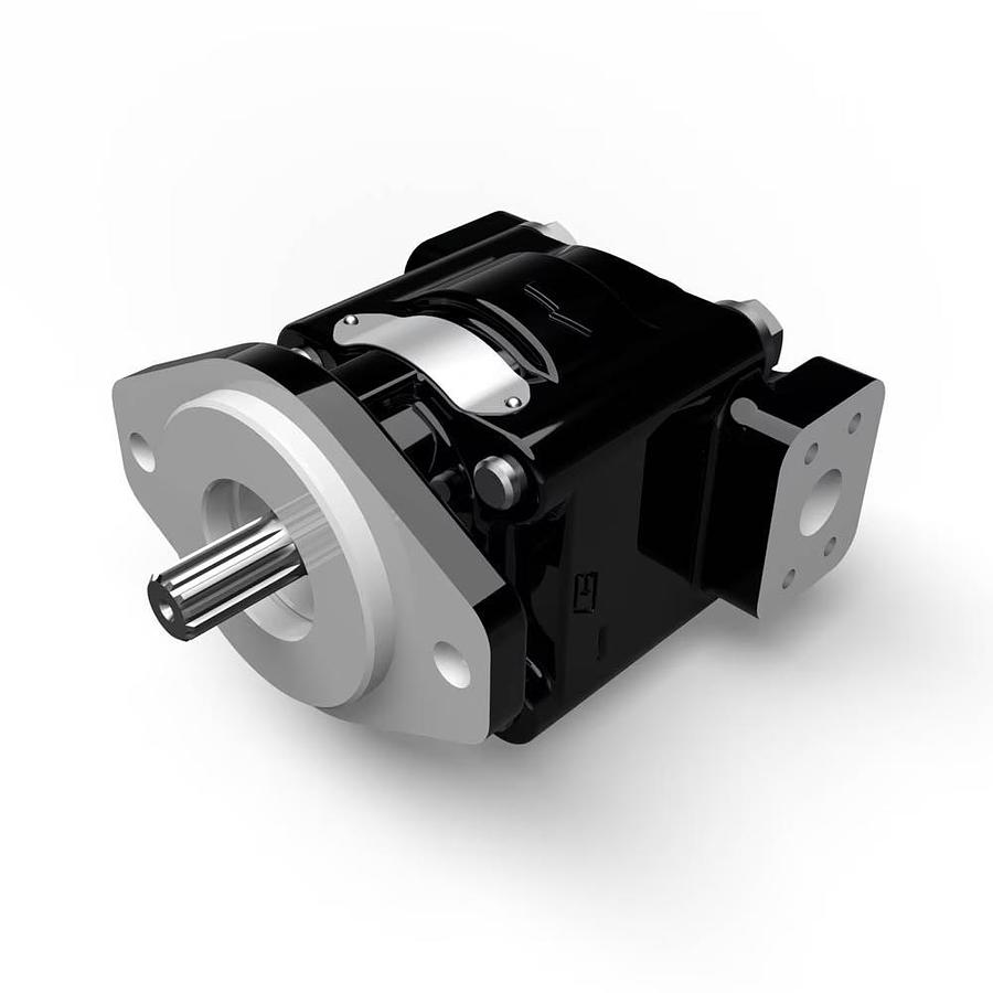 Cast Iron Pumps – PGP330 Series