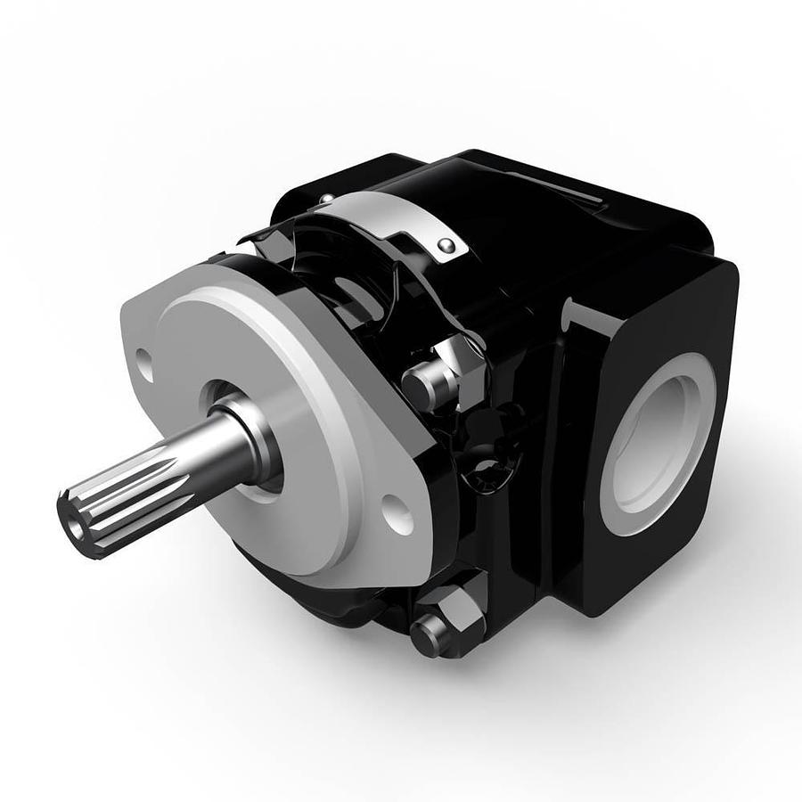 Cast Iron Pumps – PGP620 Series
