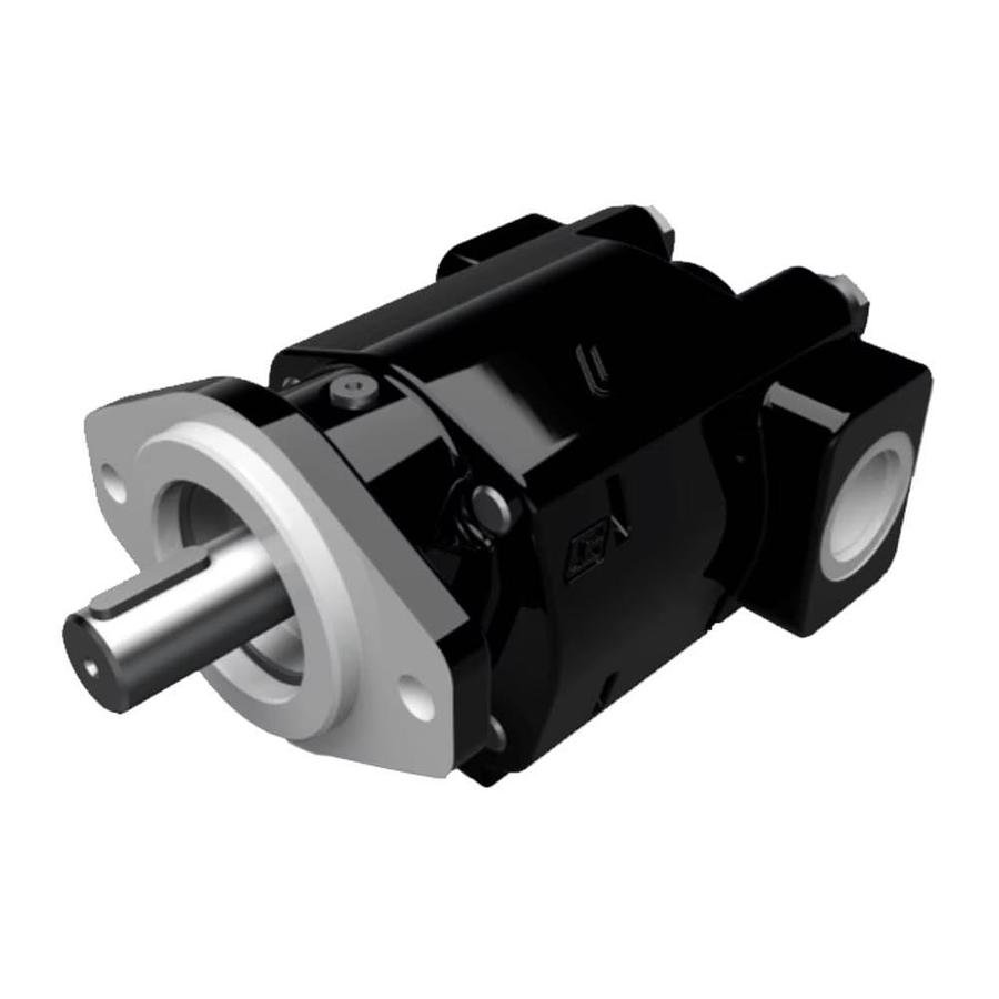 Cast Iron Pumps – PGP350 Series