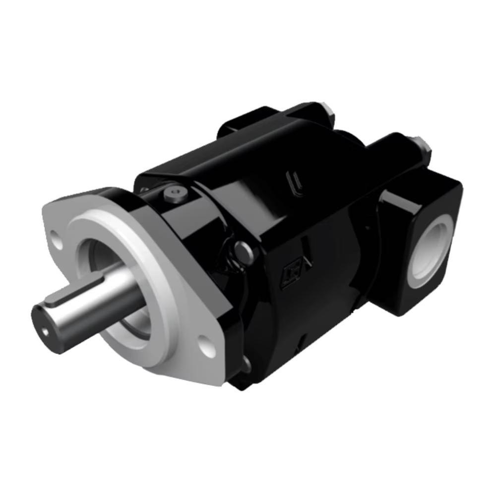 Cast Iron Pumps – PGP350 Series