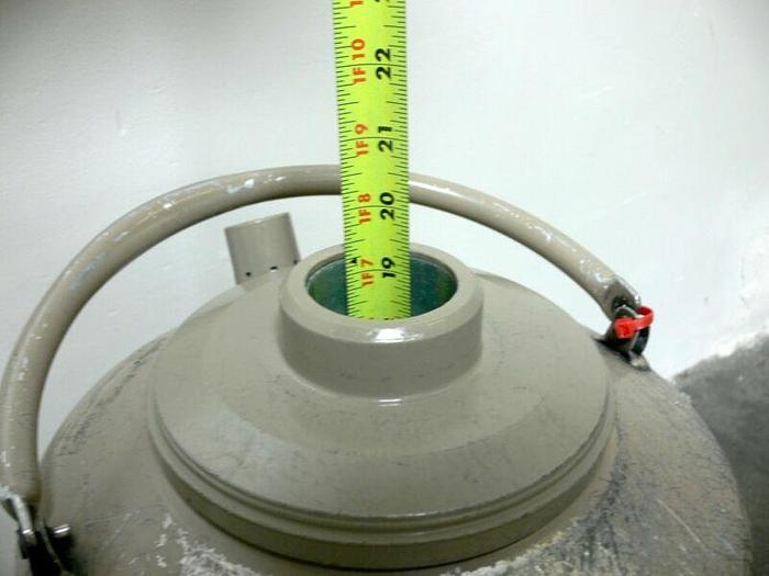 Used Taylor Wharton 10 LD 10 Liter Liquid Nitrogen Cryogenic Storage Dewar 10LD