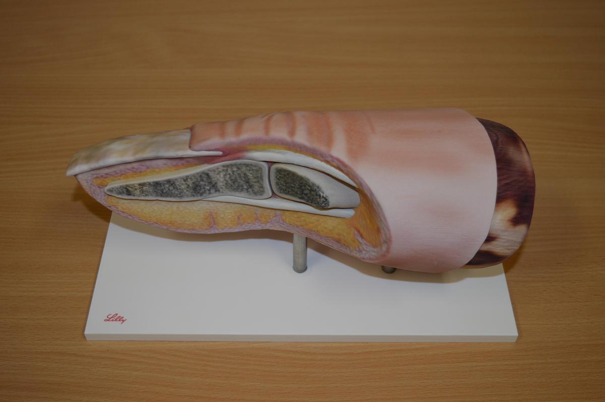 Gebraucht 2016 Stratasys J750 mit Upgrade auf J750DAP (Digital Anatomic Printer)