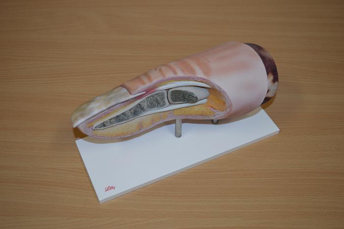 Used 2016 Stratasys J750 mit Upgrade auf J750DAP (Digital Anatomic Printer)