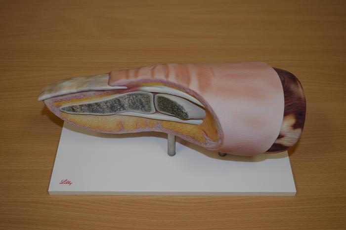 Used 2016 Stratasys J750 mit Upgrade auf J750DAP (Digital Anatomic Printer)