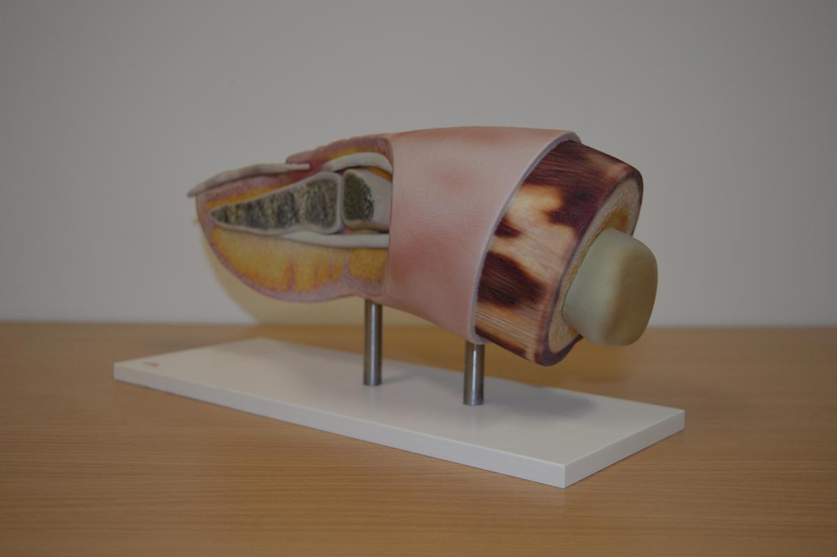 Gebraucht 2016 Stratasys J750 mit Upgrade auf J750DAP (Digital Anatomic Printer)