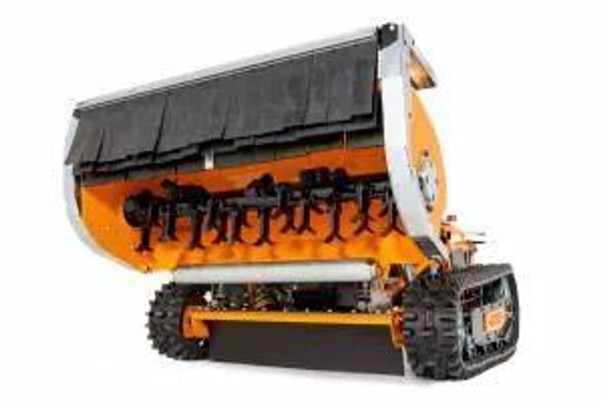 AS MOTOR 1000 OVIS EVO