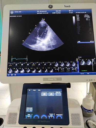 Gebraucht GE Vivid T8