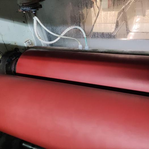 Used WEISS Tubular balloning hydroextractor  year 1998