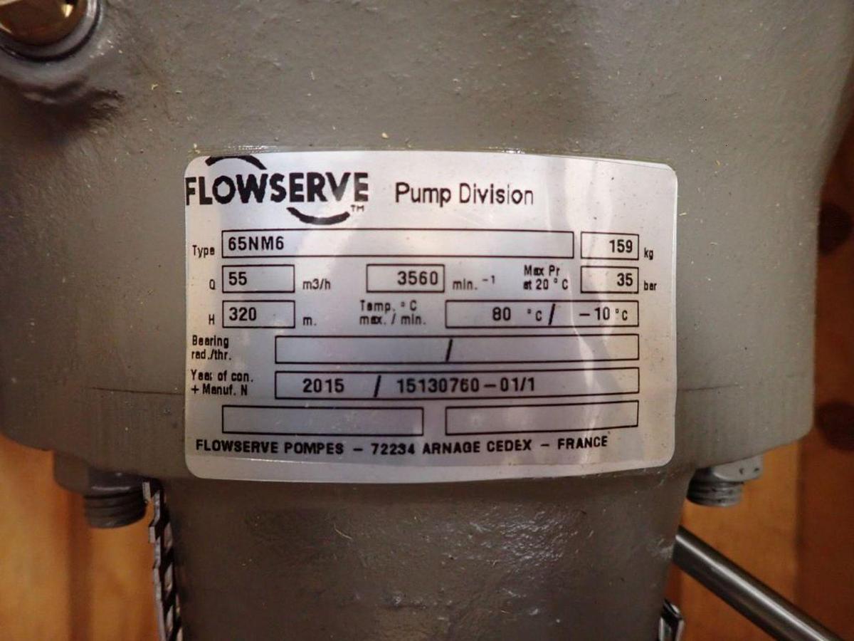 Used Flowserve 65 NM 6 Multi-Stage Pump