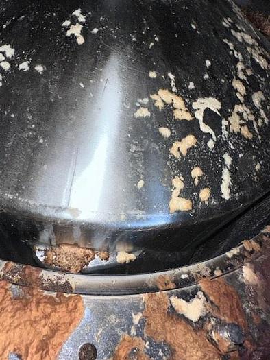 Used Andritz Ahlstrom F-2 SS Pressure Screen