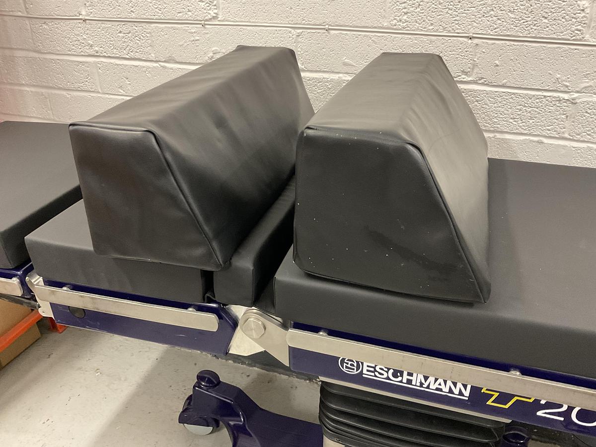 Used Unknown Support Cushion Set of 2