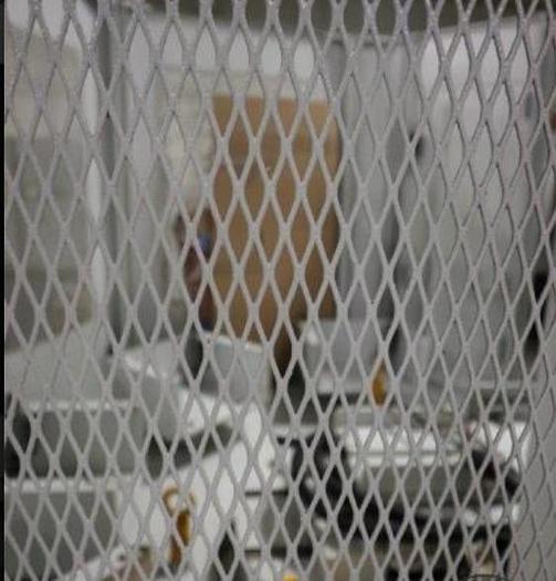 Used 2011 Mori Seiki NHX4000 5-Pallet