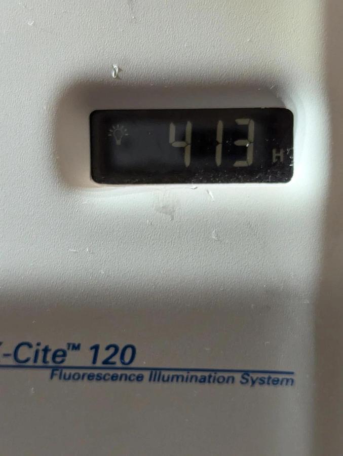 Used Exfo XI120  X-Cite 120 Fluorescence Illumination System