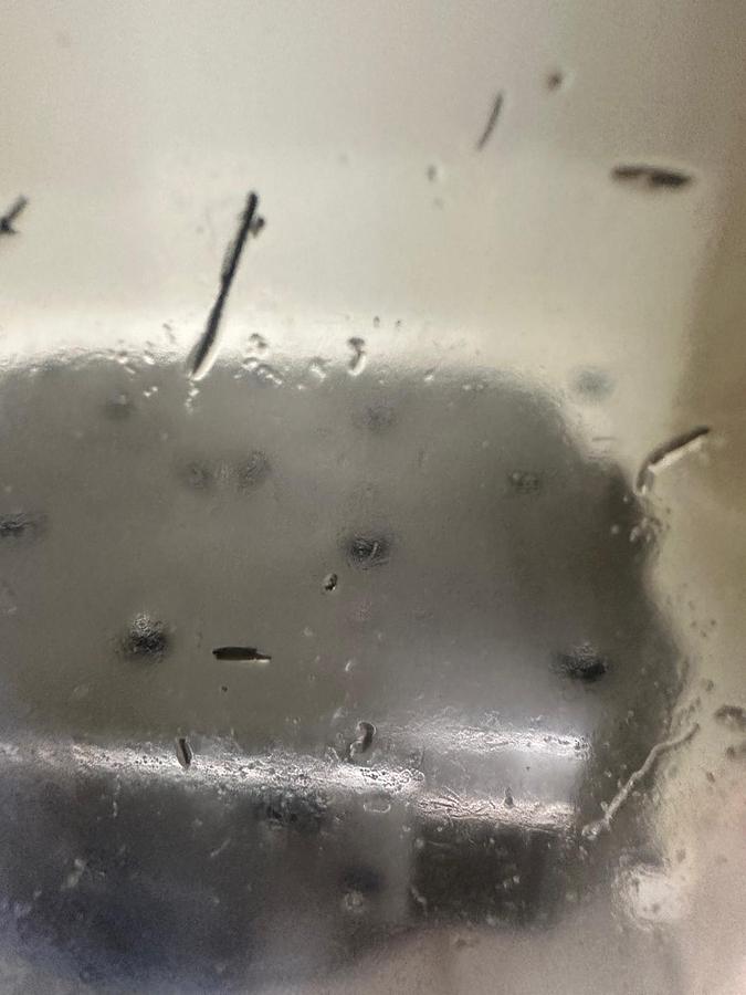 Used DMG MORI NHX 5000 BAUJAHR 2023