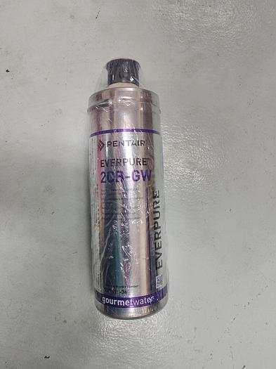 Pentair 2CB-GW EV9618-36 Water Filter NEW!!