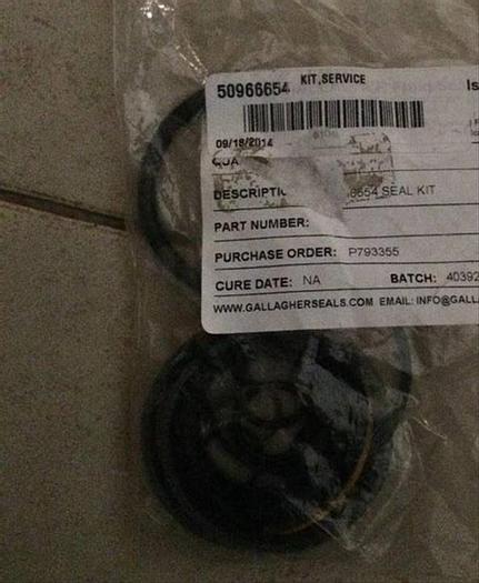 0 Ingersoll-Rand 50966654 Service Kit