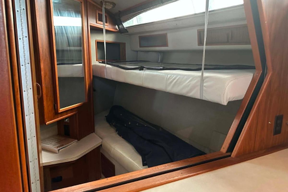 Used 1988 Sea Ray 390 Express Cruiser