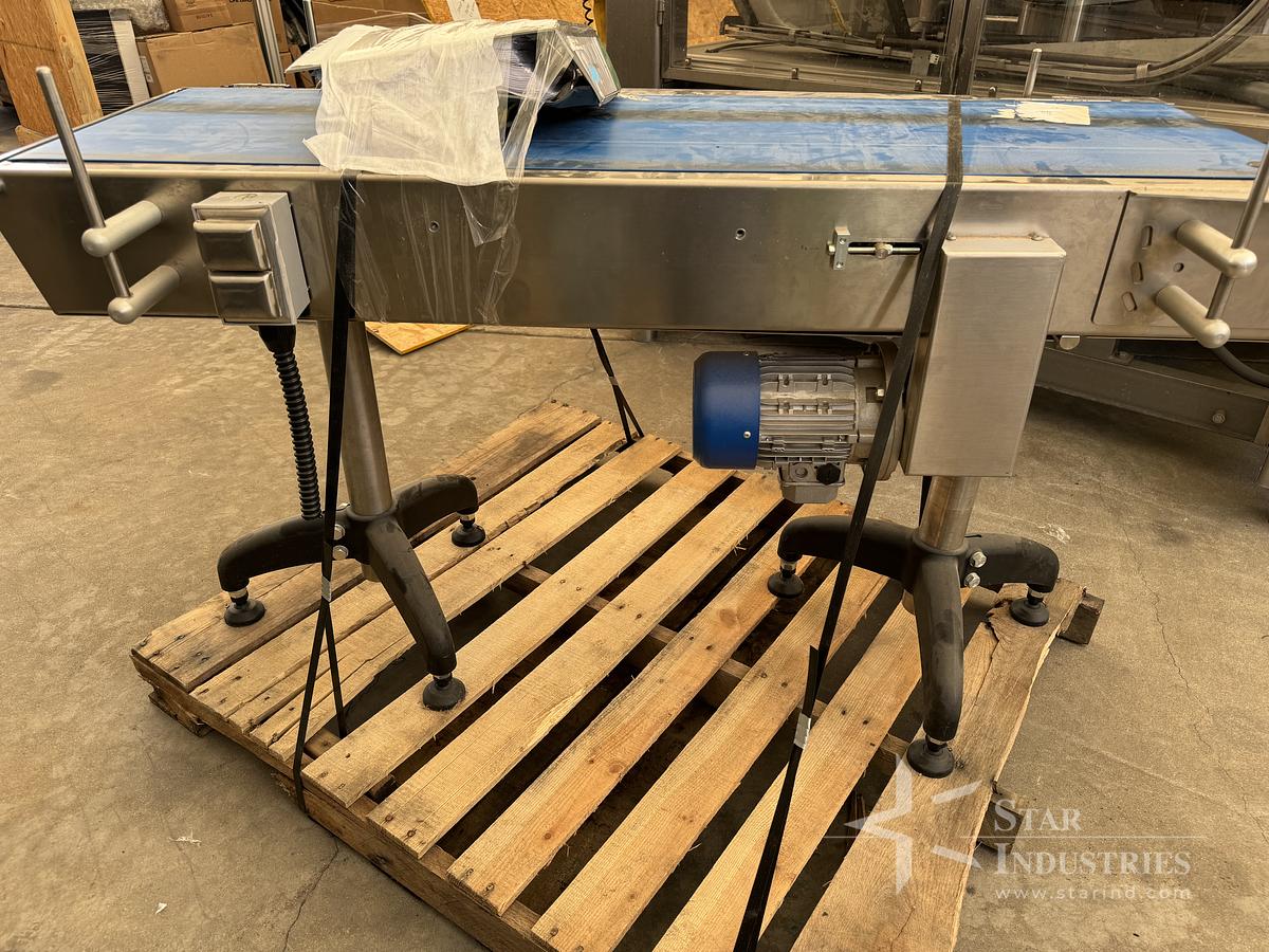Used Flat Conveyor 24''x 48''L