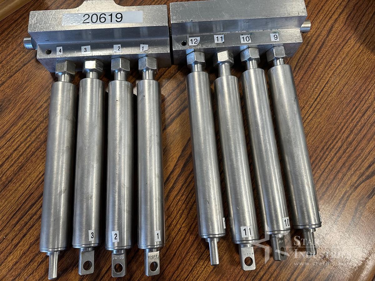 Used Set of 60 cc Pistons for Cozzoli VF-840 Piston Filler