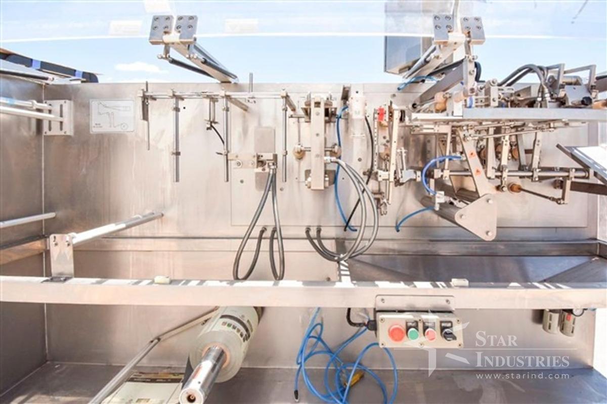 Used Develop MC BS-130 Horizontal Packaging Machine with Auger Filler