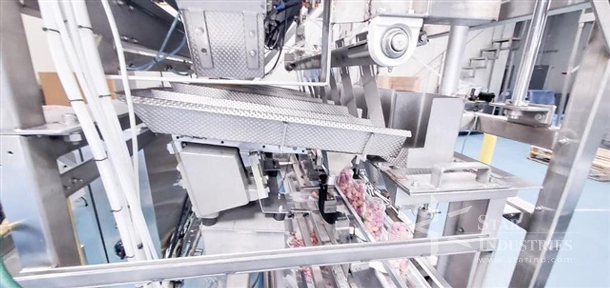 Used Ohlson Linear Gummy Packaging Line with Scale and Bottling System