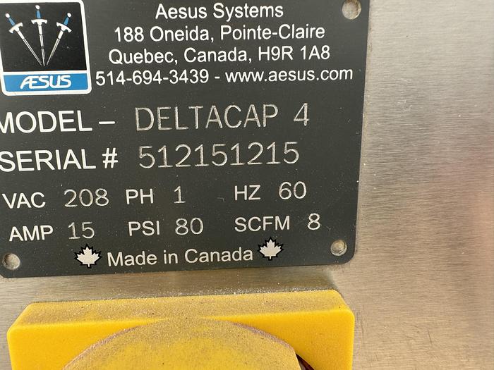 Used DeltaCap 4 Spindle Capper w/ Hoppe