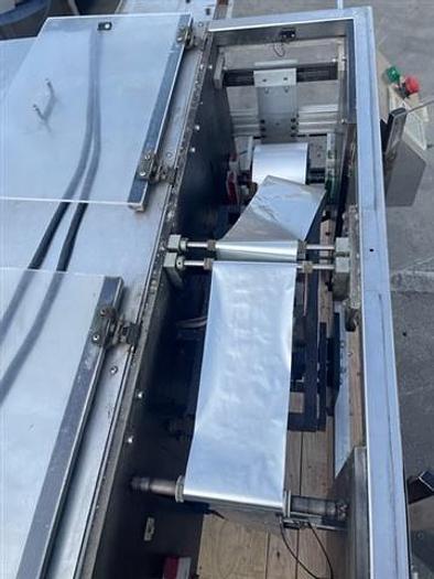 Used Phoenix Engineering Go Packer Model 1000 Pouching Machine