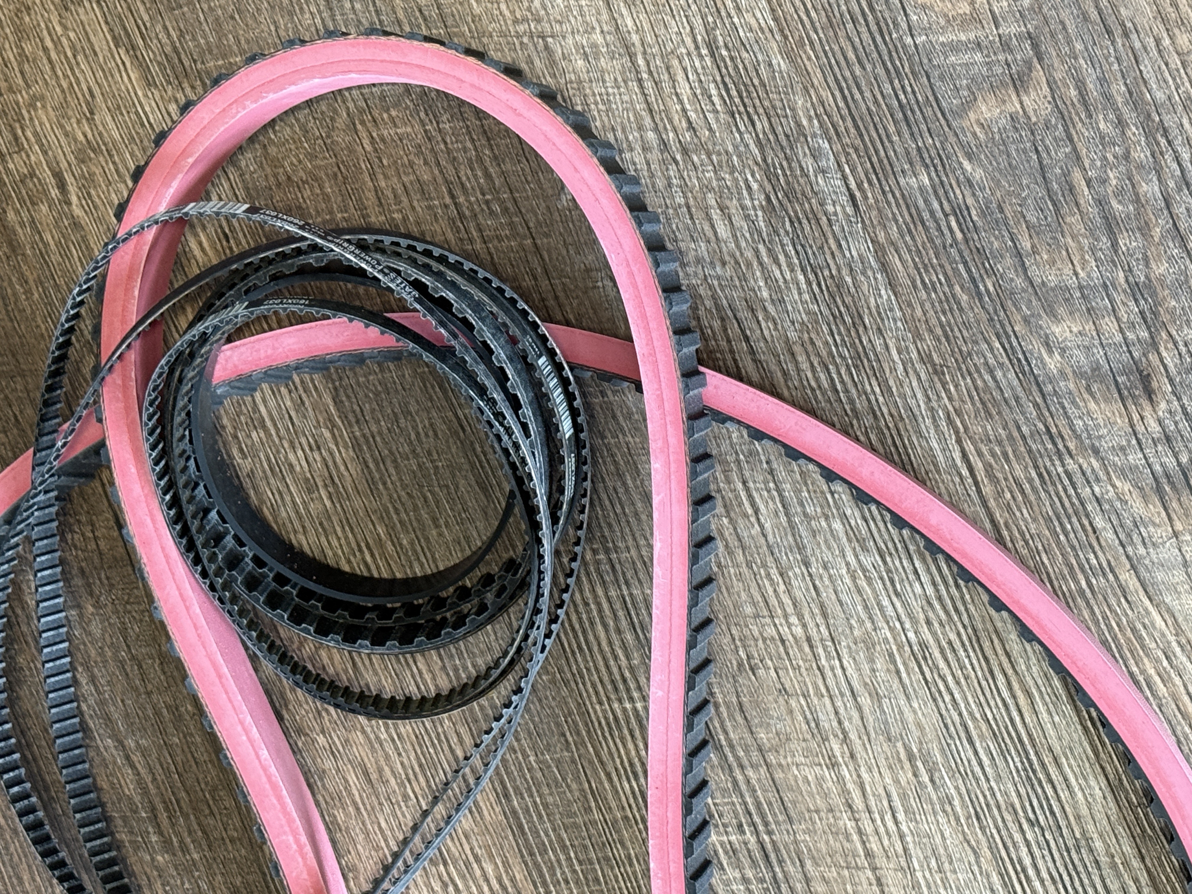 Used Accutek Gripper Belt