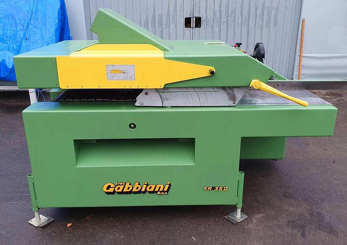 Used 1981 Gabbiani Italy Multiripsaw Gabbiani SA 350