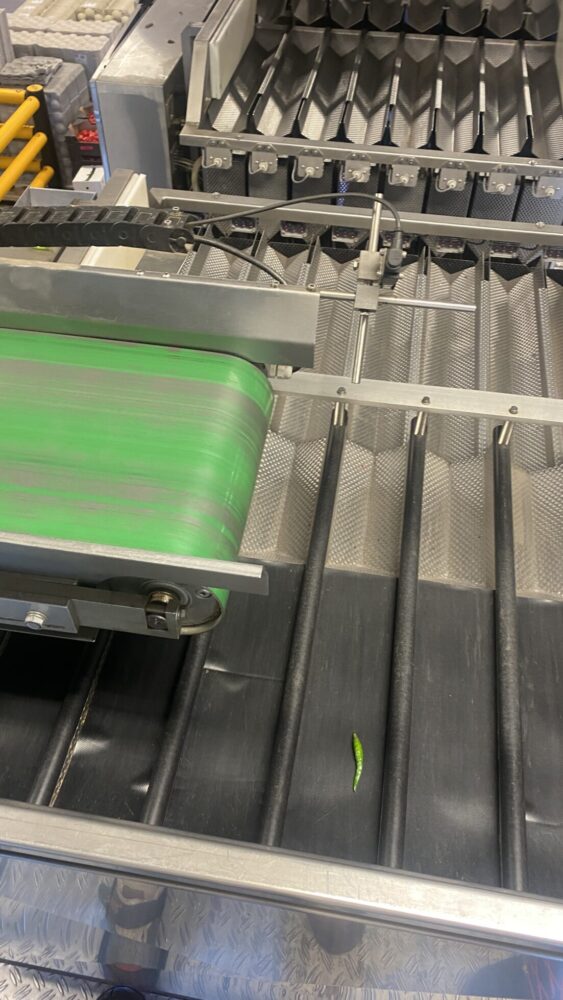 Used Manter weighing and Jasa packing line