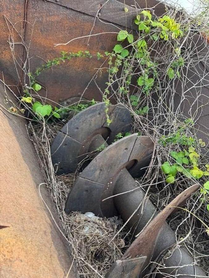 Used Armadillo 36x25 Sand Screw