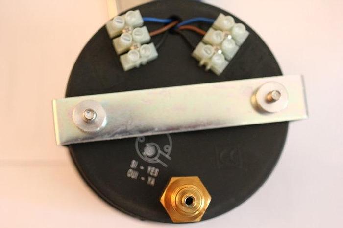 Spare parts Ricambi per presse Pressure gauge with microswitch manometro con microinterruttore