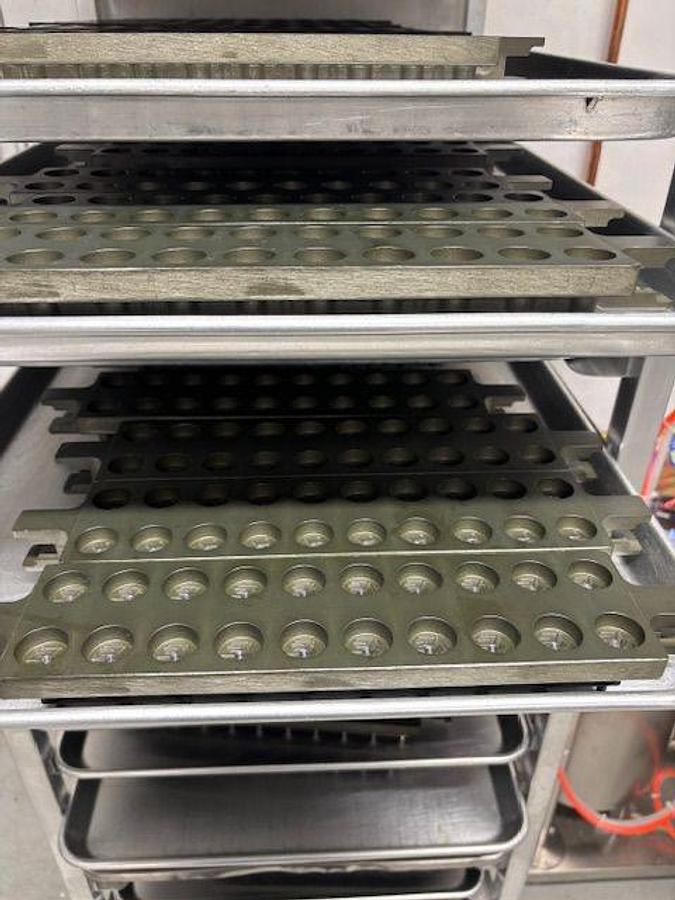 Used Used Sainty Co. Semi – Automatic Gummy Line, Model DM-20S
