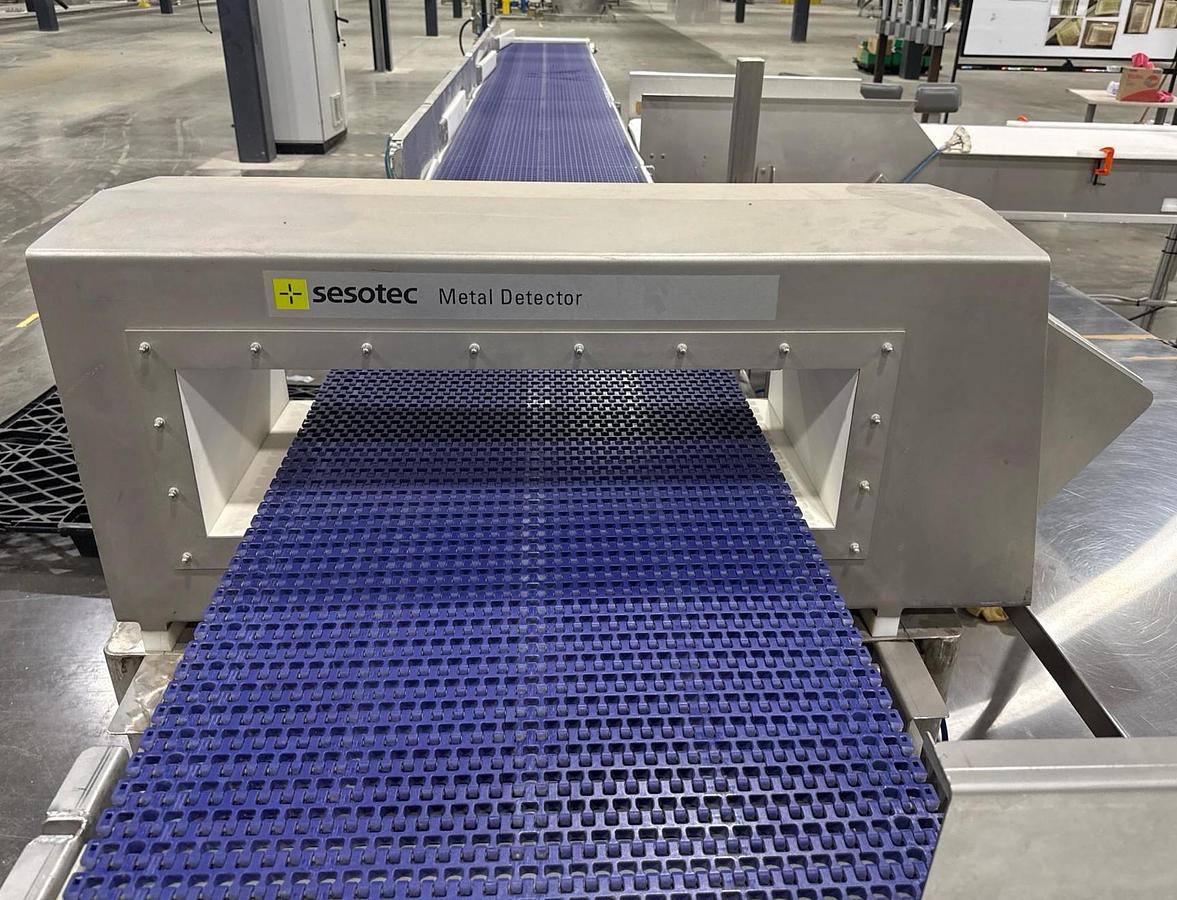 Used Used Sesotec Intuity Series Inline Belt Metal Detector, Model Intuity 700/200-IC