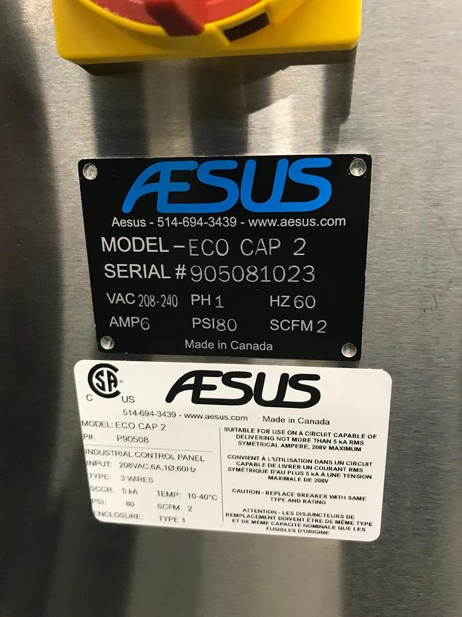 Unused Automatic Tablet Packaging Line from Aesus Packaging Systems and NJM Packaging Inc.