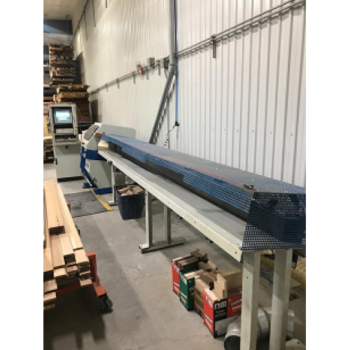 Used 2005 Omga OPT Push Feed Optimizing saw