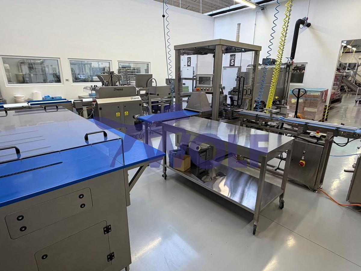 Gebraucht Schmink- und Gießanlage Hacos - für Formengröße von ca. 380 × 295 mm.