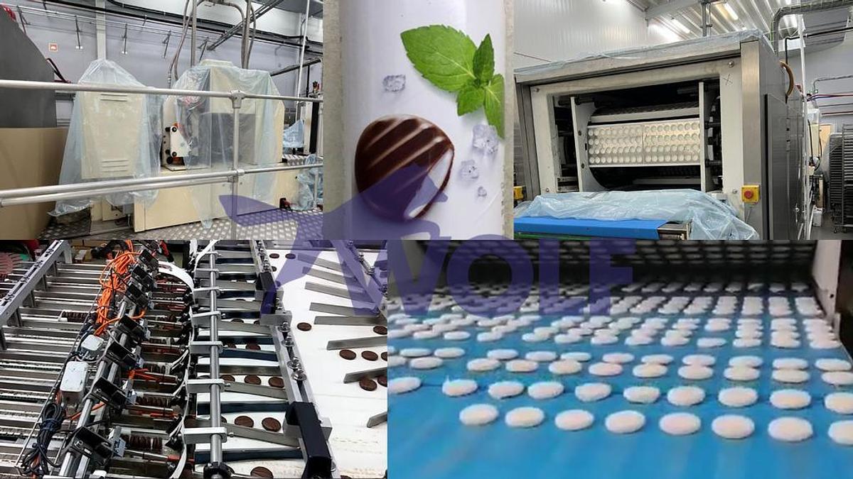 Gebraucht Hochleistungs-Dosieranlage für Fondant-Pastillen - Type "Minztaler", WDS bestehend aus: