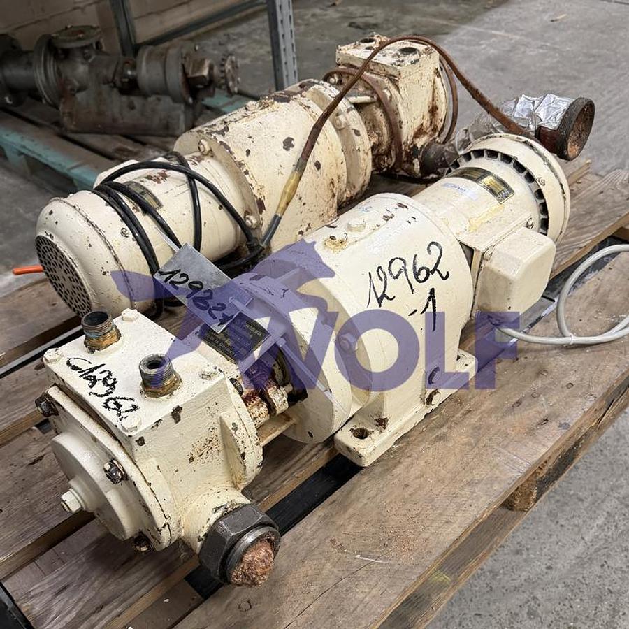 Used rotary vane mass pump RASCH - Type P-1, with approx. 1,000 kg hourly output.