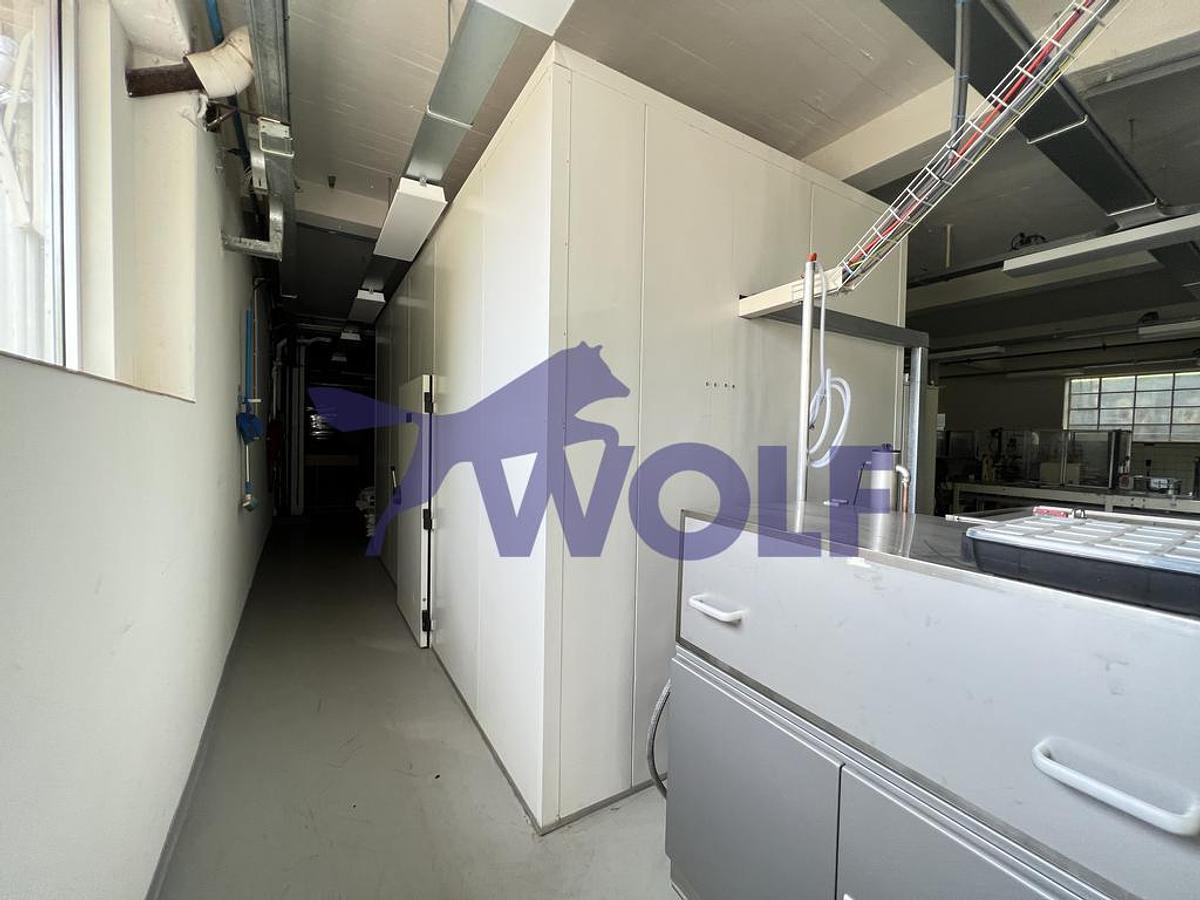 Gebraucht Hohlfigurenanlage Collmann / Rasch - komplette Anlage zur Herstellung bestehend aus: