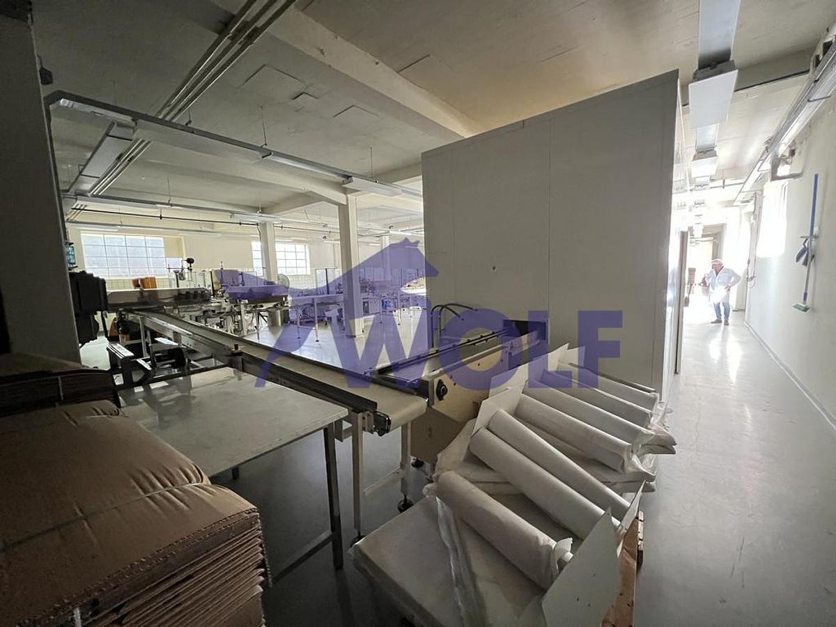 Gebraucht Hohlfigurenanlage Collmann / Rasch - komplette Anlage zur Herstellung bestehend aus: