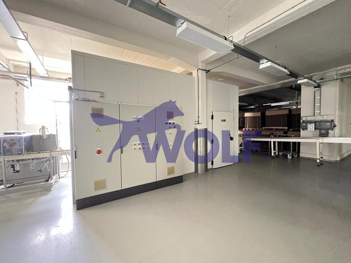 Gebraucht Hohlfigurenanlage Collmann / Rasch - komplette Anlage zur Herstellung bestehend aus: