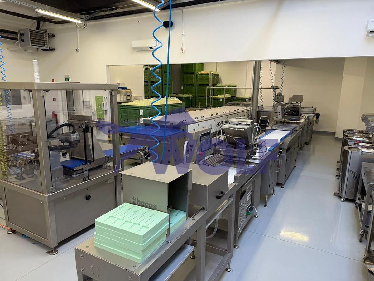 Gebraucht Schmink- und Gießanlage Hacos - für Formengröße von ca. 380 × 295 mm.