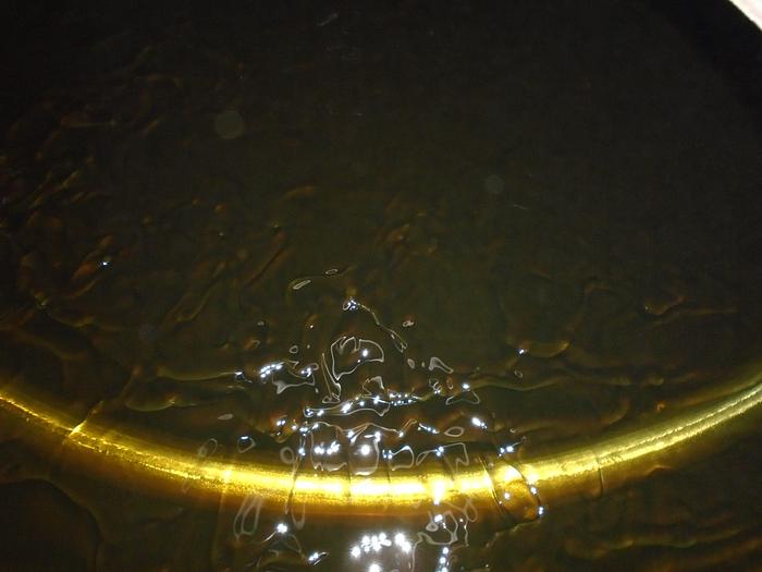 Used 120 Ton Per Day Palm Oil Facility